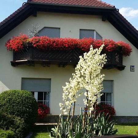 Studio Orchidee Weissig  Exteriér fotografie