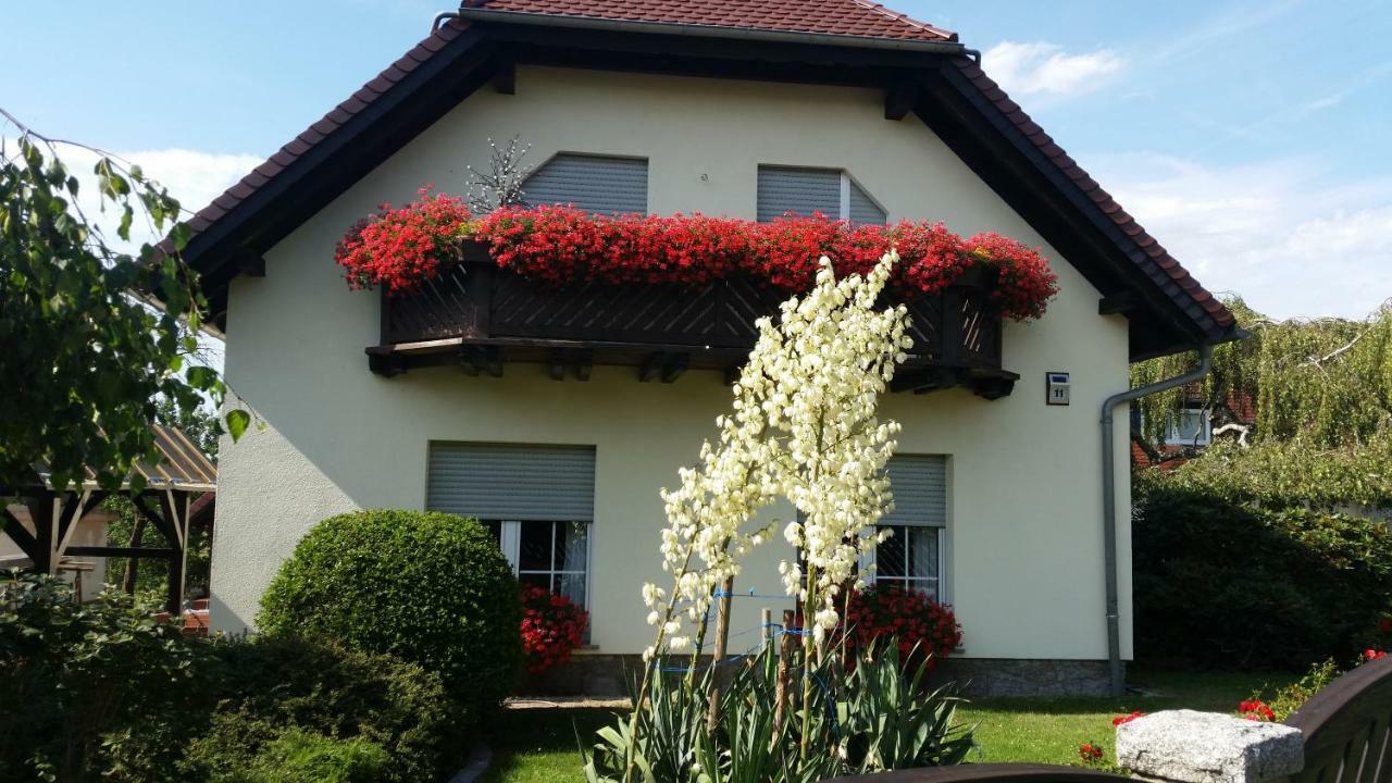 Studio Orchidee Weissig  Exteriér fotografie